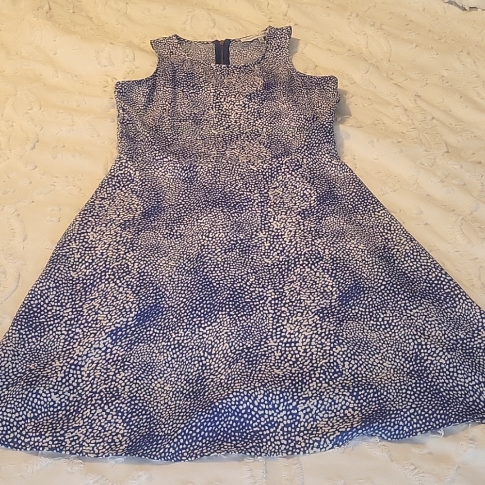 Collective Concepts dress